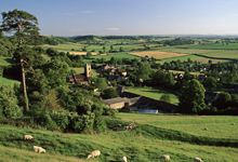 somerset